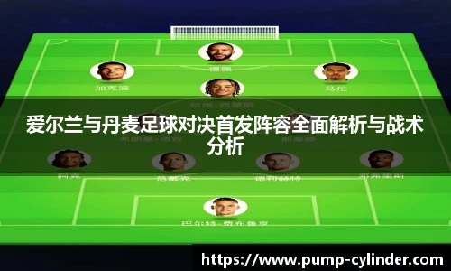 爱尔兰与丹麦足球对决首发阵容全面解析与战术分析